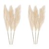 گل خشک مدل پامپاس بسته 6 عددی