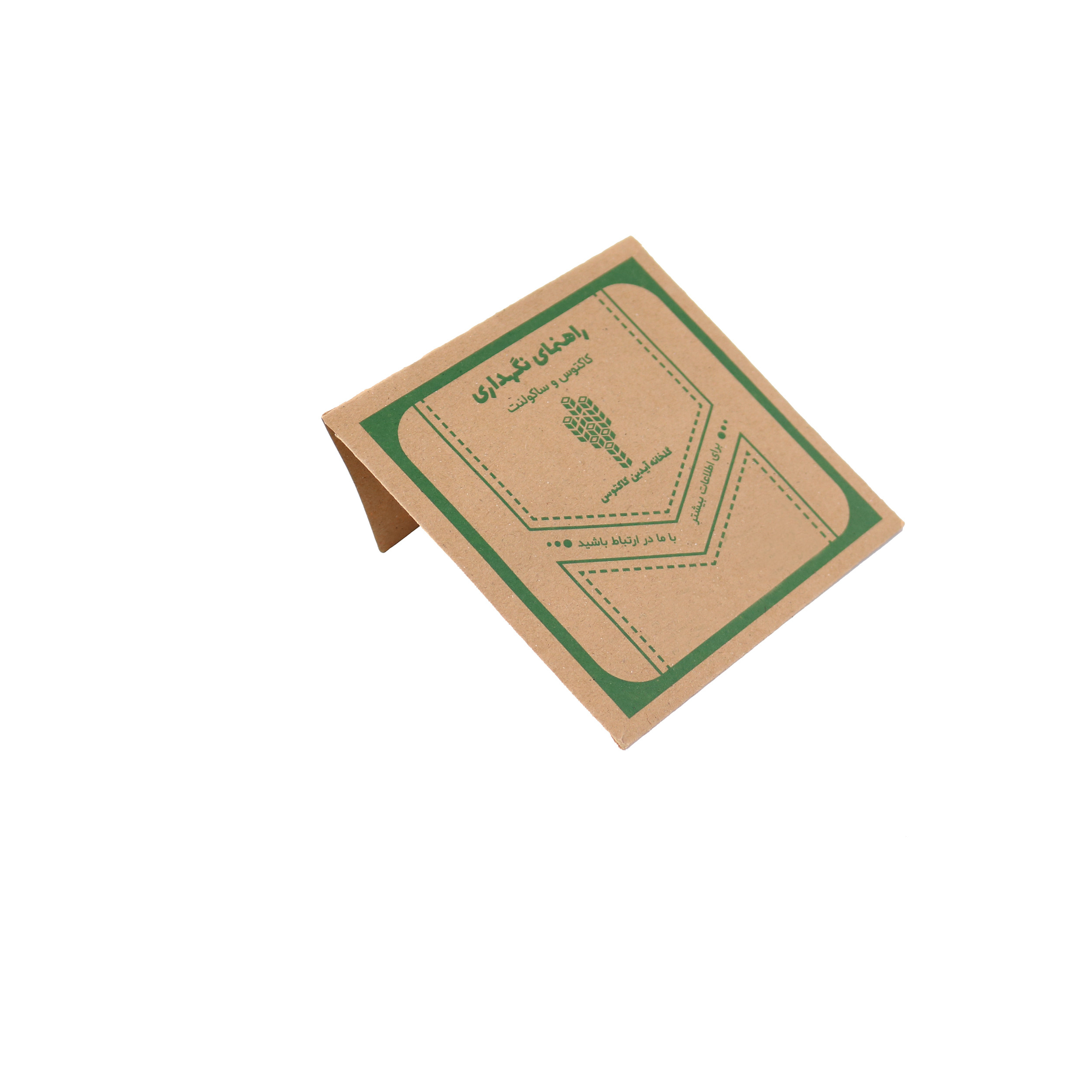 گیاه طبیعی ساکولنت آیدین کاکتوس کد CB-019 بسته 6 عددی