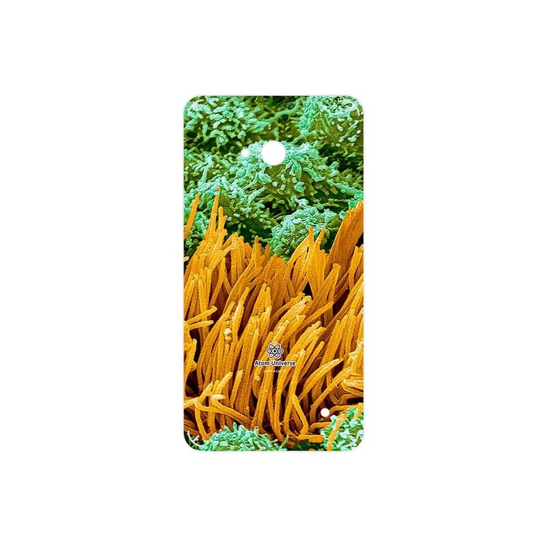 برچسب پوششی ماهوت مدل Atom Universe 6 مناسب برای گوشی موبایل مایکروسافت Lumia 640