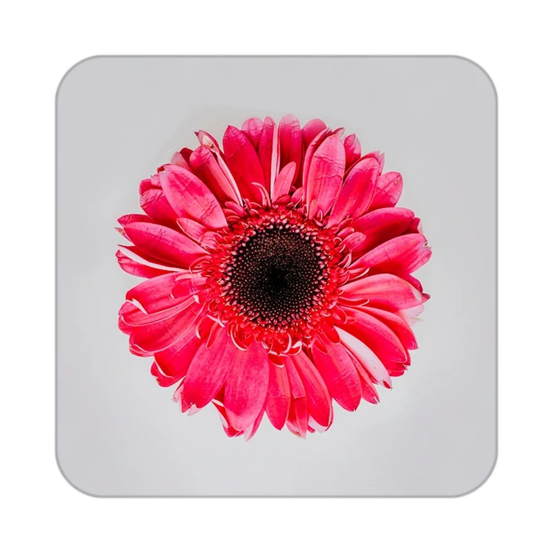 زیر لیوانی کاکتی طرح گل مدل mp16335