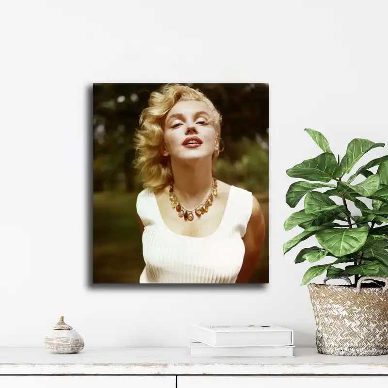 تابلو شاسی آتریسا مدل مرلین مونرو