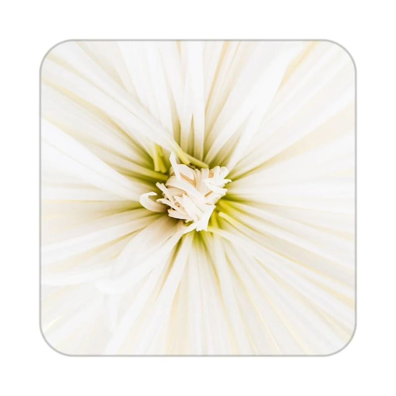 زیر لیوانی کاکتی طرح گل مدل mp19694