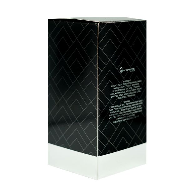 ادوپرفیوم مردانه ری بارتون مدل  SILVER SCENT حجم 100 میلی لیتر -  - 5