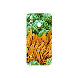 MAHOOT Atom Universe 6 Cover Sticker for Samsung Galaxy A40