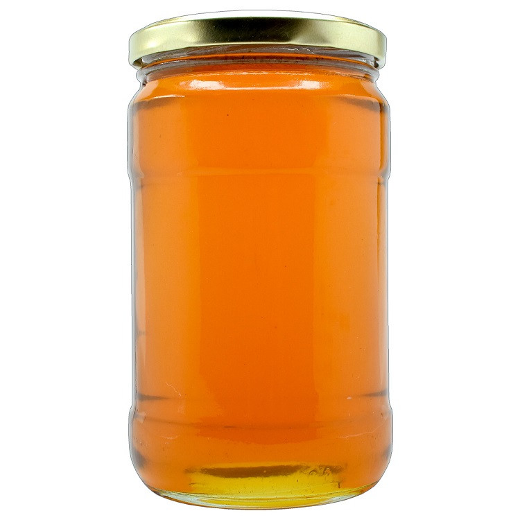 عسل طبیعی گون ایران زمین - 500 گرم