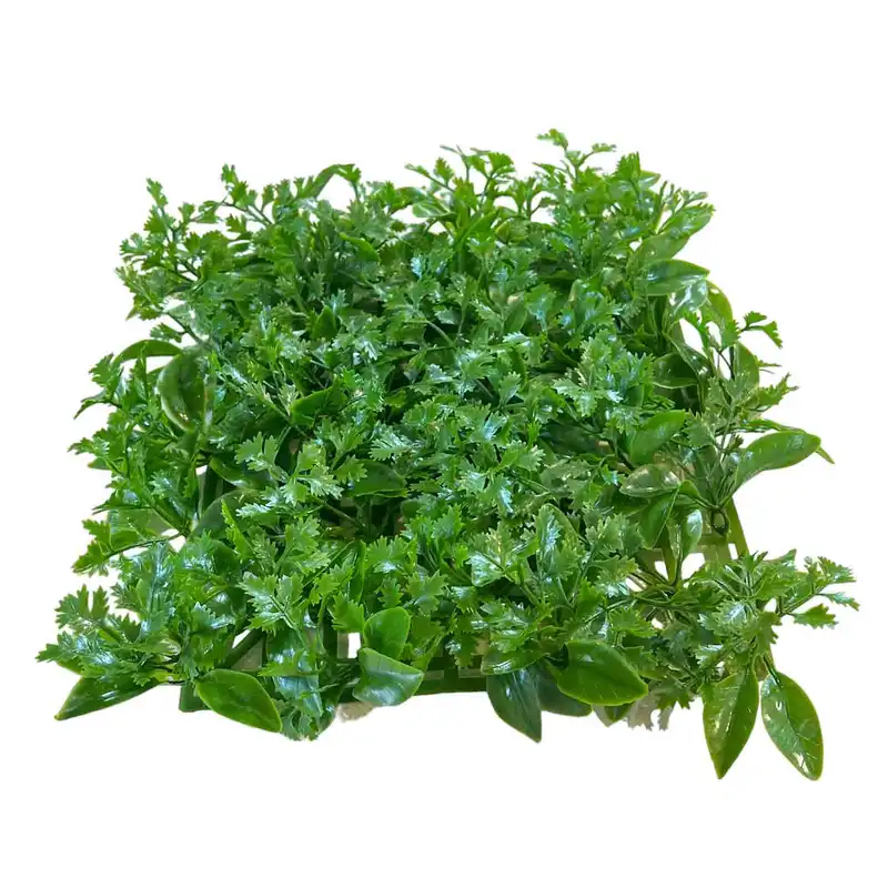 دیوار پوش مدل دیوار سبز مصنوعی برگ سرو پرتقال بسته 16 عددی