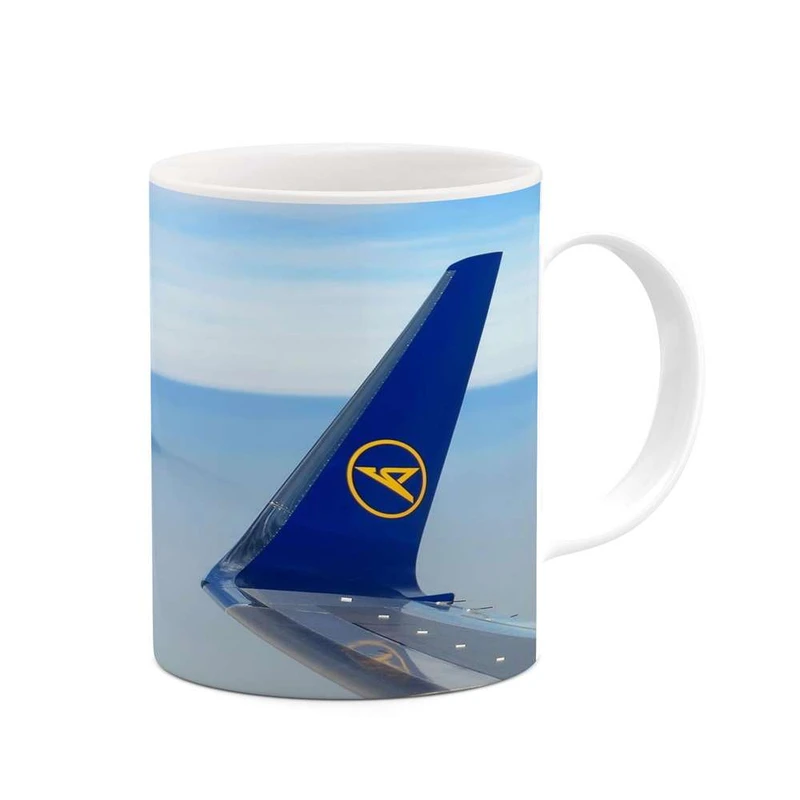 ماگ کاکتی مدل هواپیمای جنگنده کد mgh20388