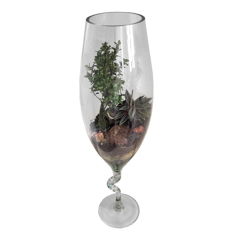 تراریوم گیاه طبیعی کد TRM-jamPB