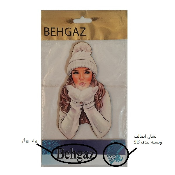 ابزار تزیین کیک بهگز مدل دختر زمستانی