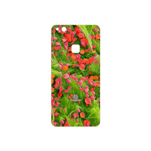 MAHOOT Atom Universe 3 Cover Sticker for Huawei P10 Lite