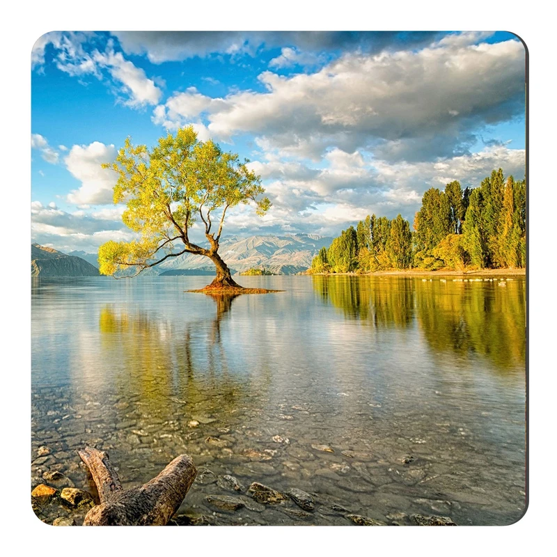  مگنت طرح طبیعت نیوزلند کد NIM138