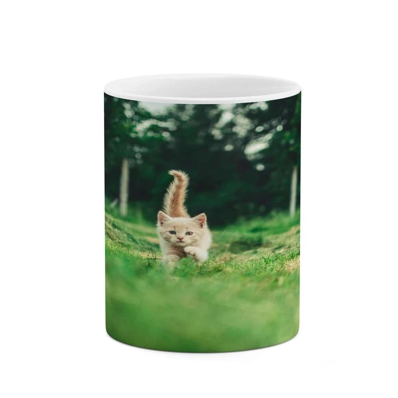 ماگ کاکتی مدل گربه کد mgh16474