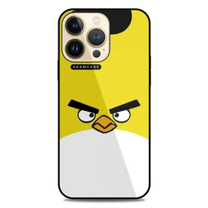 AKAM AMC-WA13PRO-ANGRY BIRDS5 Cover For Apple iPhone 13 Pro