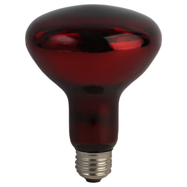 لامپ مادون قرمز 250 وات مصباح مدل R125-IR-250W-E27-RED پایه E27 لامپ مادون قرمز 250 وات مصباح مدل R125-IR-250W-E27-RED پایه E27
