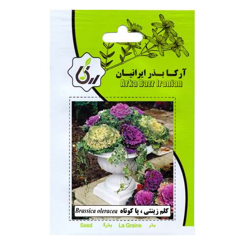 بذر کلم زینتی پا کوتاه آرکا بذر ایرانیان مدل C116