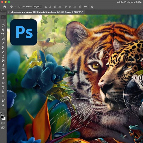 نرم افزار فتوشاپ Adobe Photoshop 2024 نشر لیمو استور