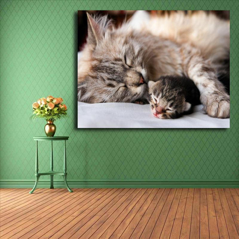 تابلو شاسی مدل گربه کد 22