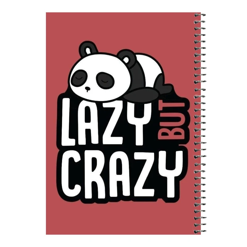 دفتر مشق 80 برگ اس جی مدل پاندای کونگ فو کار   