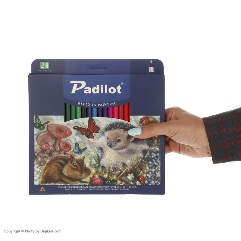 مداد رنگی 24رنگ پادیلوت مدل M-810224-1