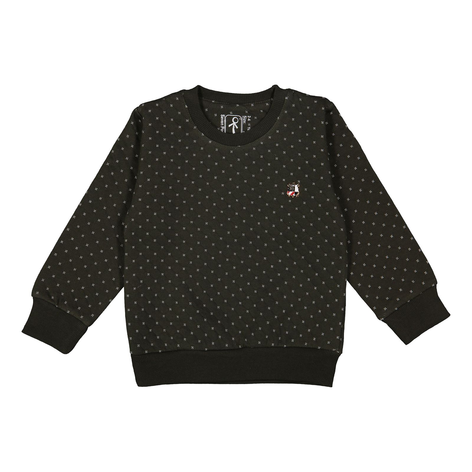 سویشرت پسرانه سون پون مدل B698 -  - 1