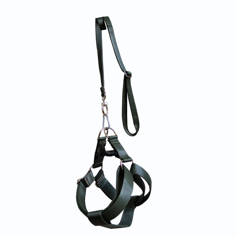 قلاده کتفی و بند قلاده سگ مدل دولایه کد 3