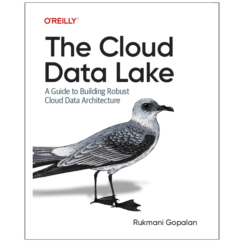 کتاب The Cloud Data Lake A Guide to Building Robust Cloud Data Architecture اثر Rukmani Gopalan انتشارات رایان کاویان