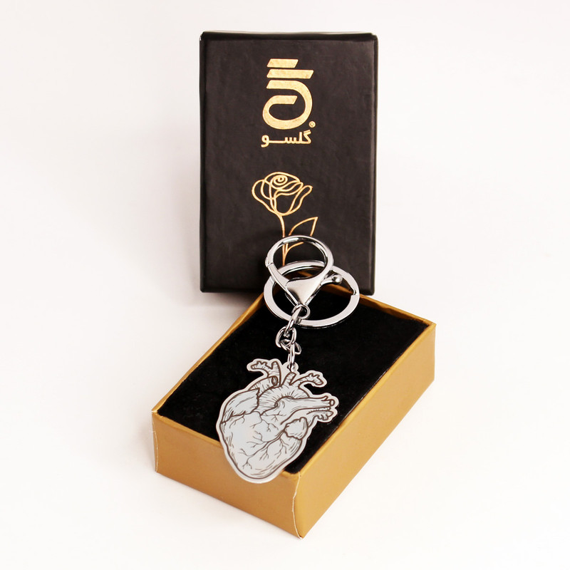 جاکلیدی گلسو مدل قلب آناتومی