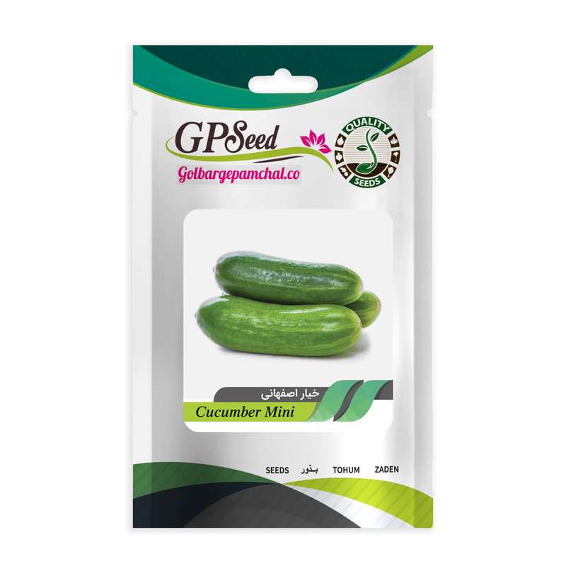 بذر خیار اصفهانی گلبرگ پامچال کد GPF-222