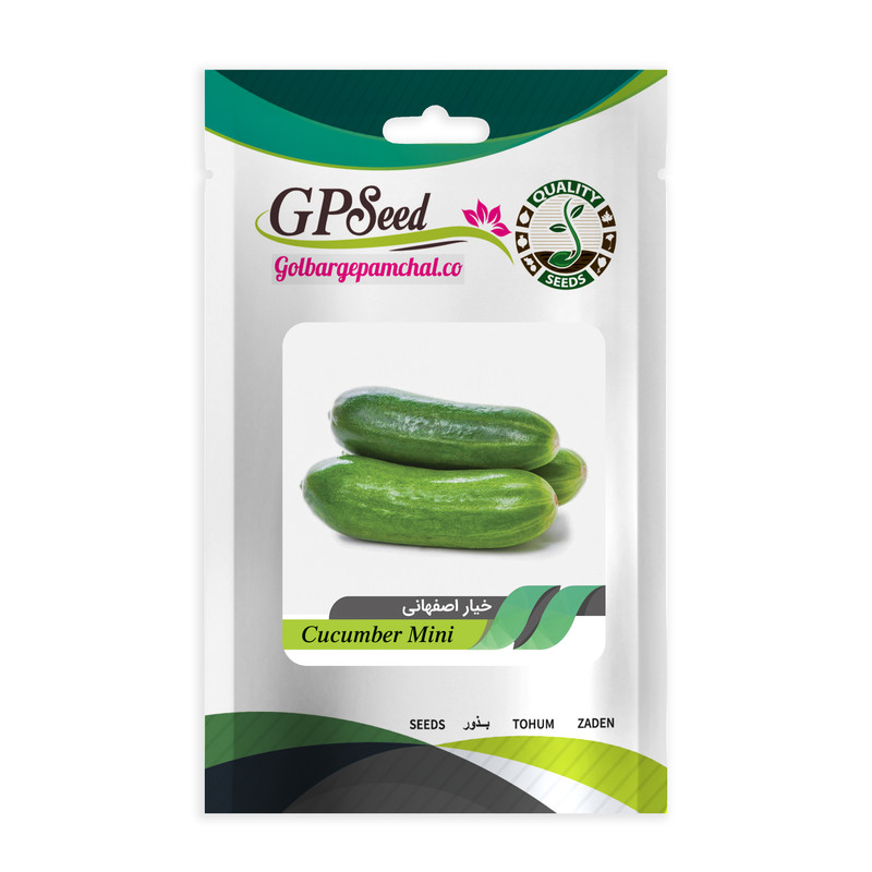 بذر خیار اصفهانی گلبرگ پامچال کد GPF-222