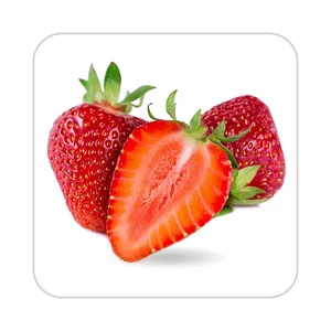 زیر لیوانی کاکتی طرح میوه مدل mp20875