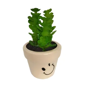 گلدان به همراه گل مصنوعی کاکتوس طرح استیکر مدل 20652