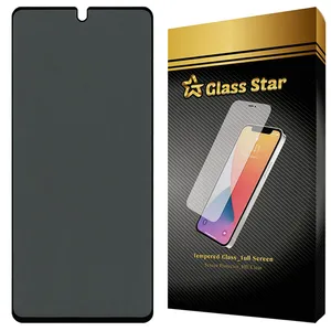 Glass Star PRIG30 Screen Protector For Vocal V1 Plus