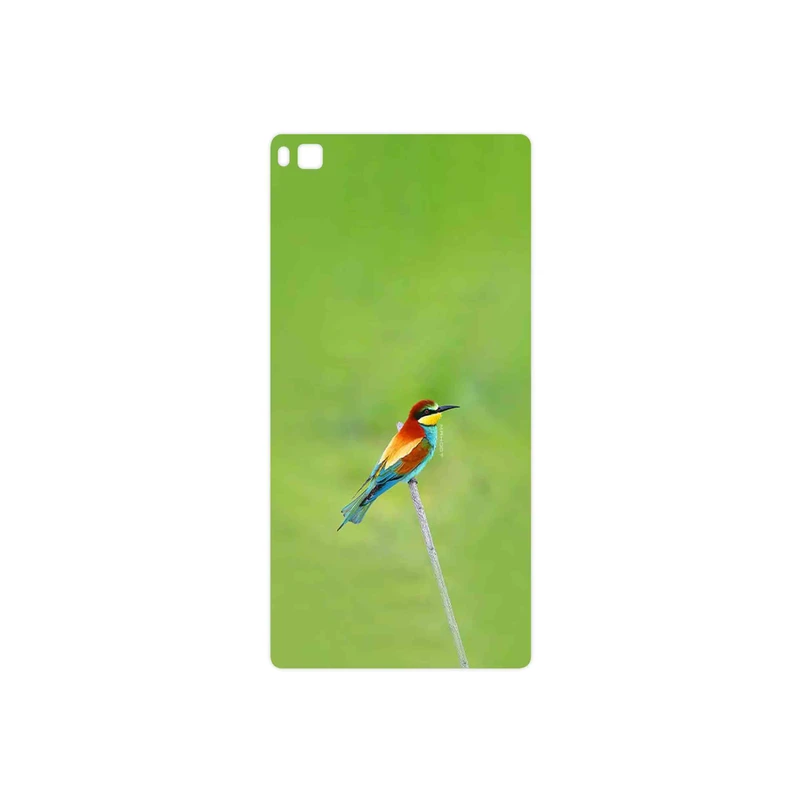 برچسب پوششی ماهوت مدل European bee-eater مناسب برای گوشی موبایل هوآوی P8