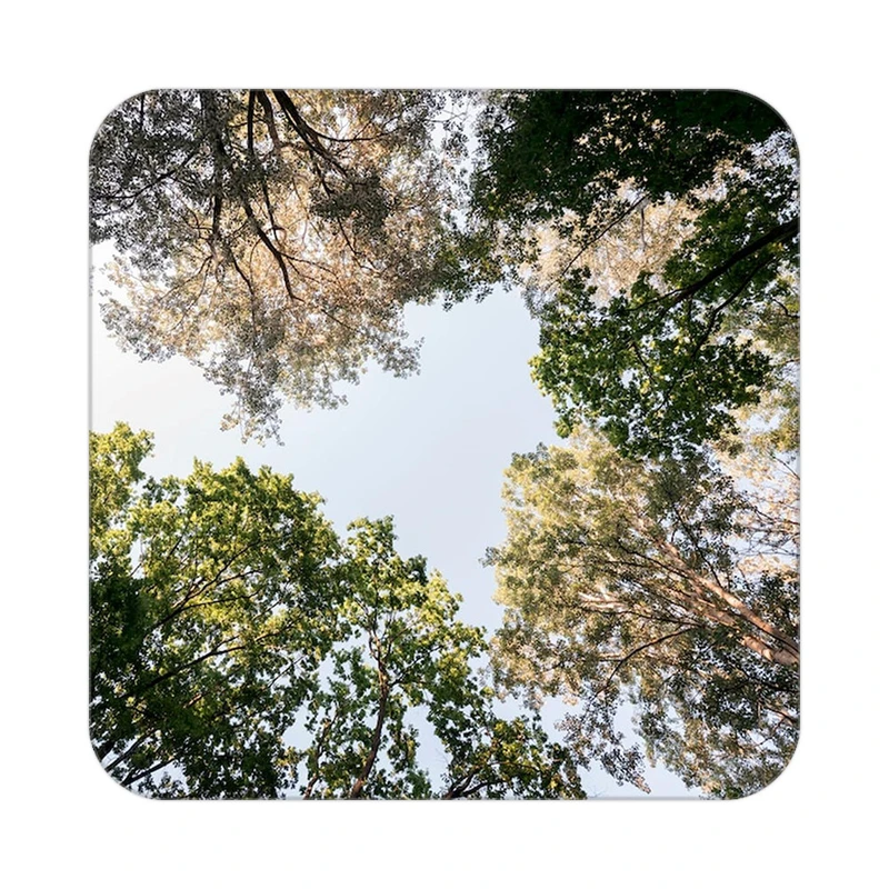 زیر لیوانی کاکتی طرح گل مدل mp17173