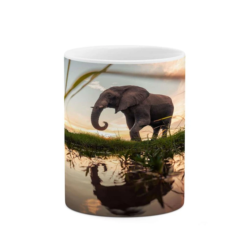 ماگ کاکتی مدل فیلم کد mgh16329