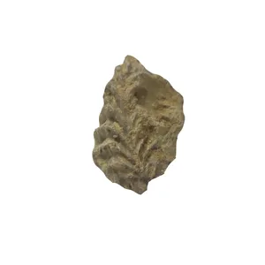 سنگ راف آمیتیست مدل فسیلی 