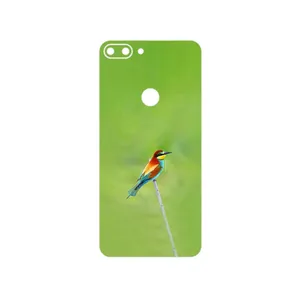 MAHOOT European bee-eater Cover Sticker for Gplus T10