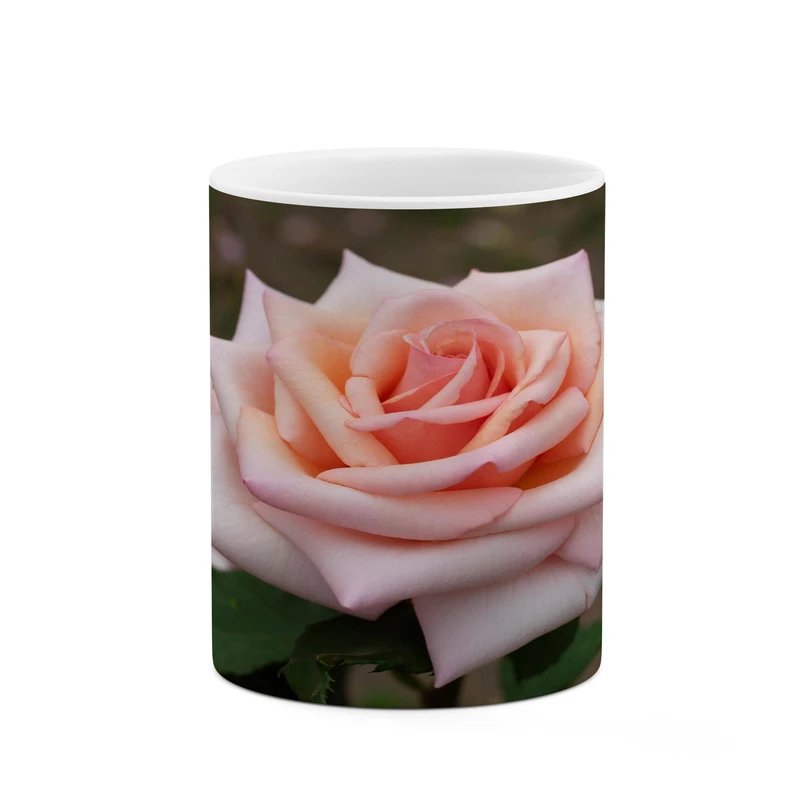 ماگ کاکتی مدل گل کد mgh17290