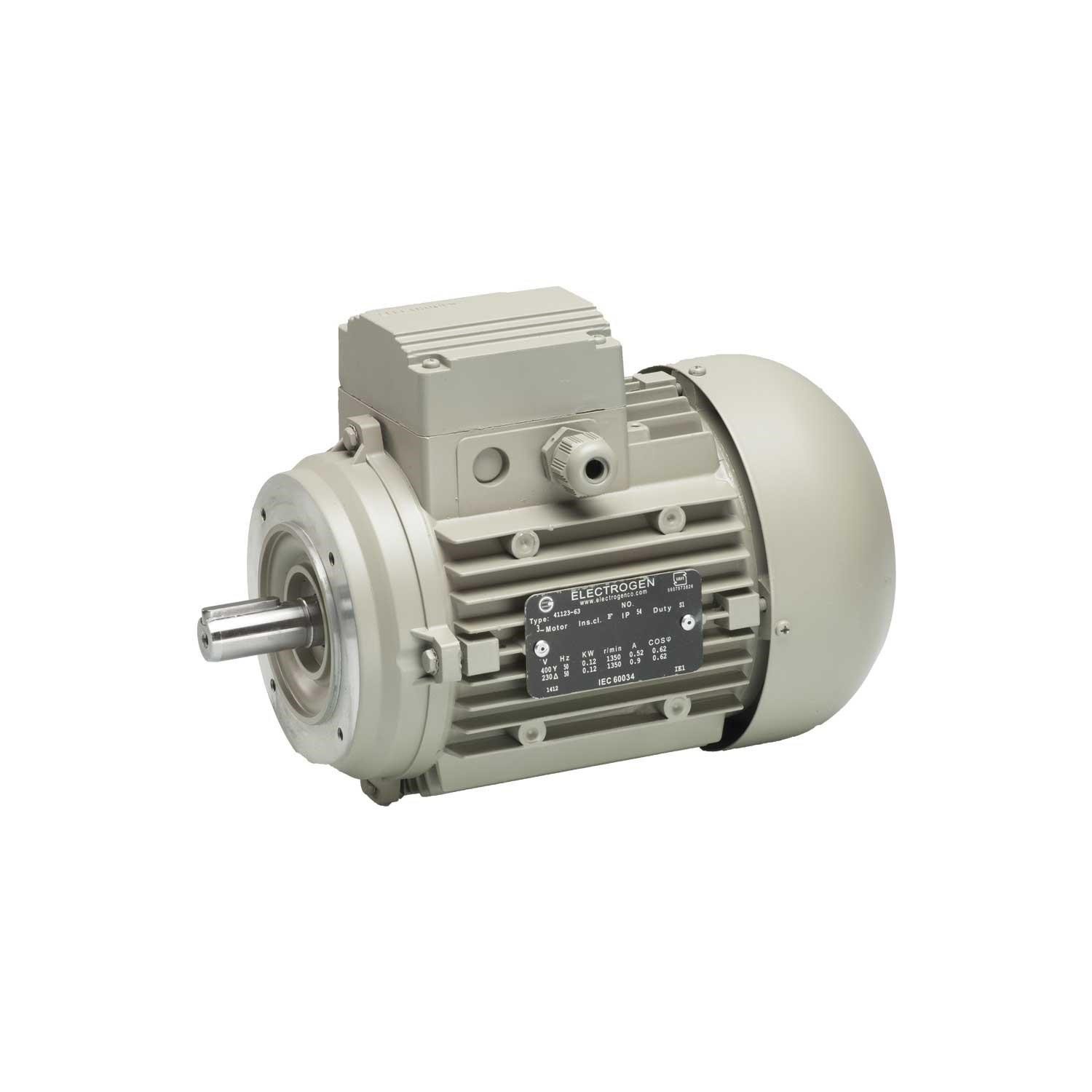 الکتروموتور صنعتی الکتروژن  مدل 14 63