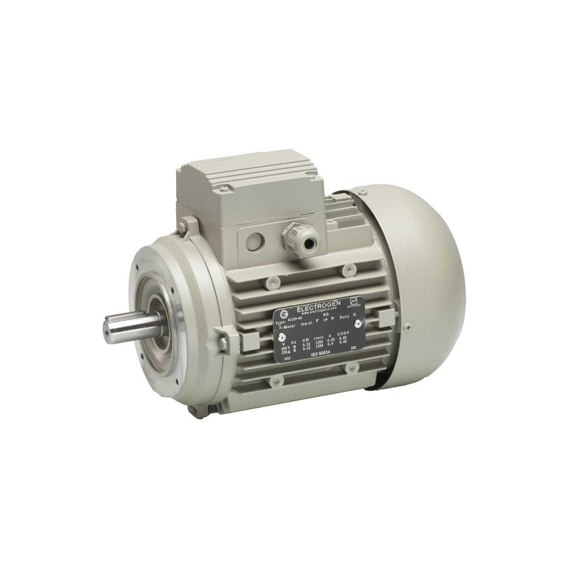 الکتروموتور صنعتی 0.25 کیلووات 1500 دور الکتروژن  مدل 14 71