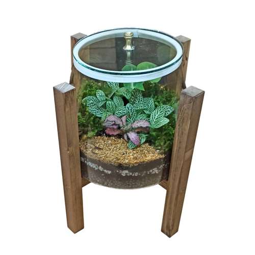 گیاه طبیعی تراریوم مدل آهو