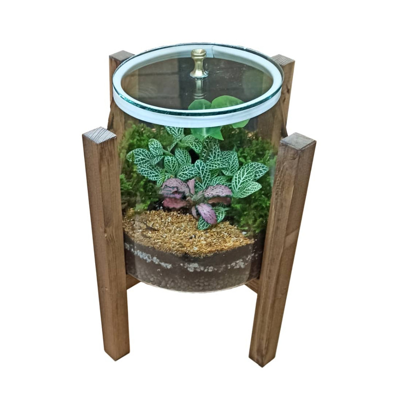 گیاه طبیعی تراریوم مدل آهو