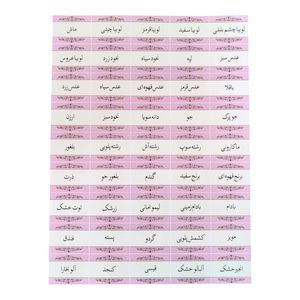 برچسب مدل نظم دهنده حبوبات بسته ۴۵ عددی