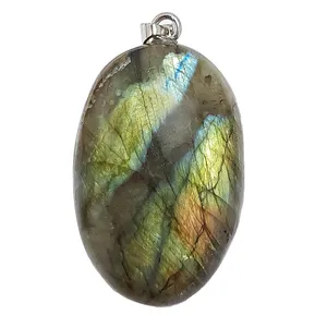 آویز گردنبند زنانه مدل لابرادوریت کد 15