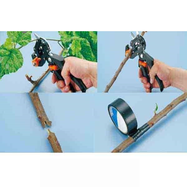 قیچی پیوند مدل ISB