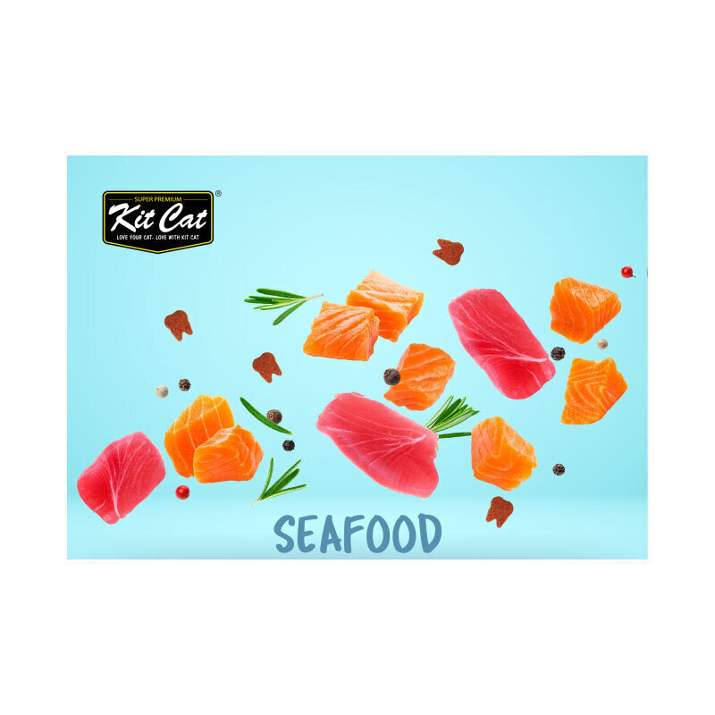 تشویقی گربه کیت کت مدل چیپسی طعم غذای دریایی وزن ۲۰ گرم