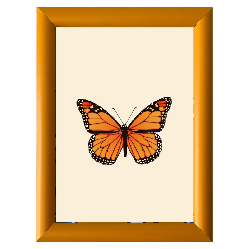 قاب عکس مدل 2s کد 1621