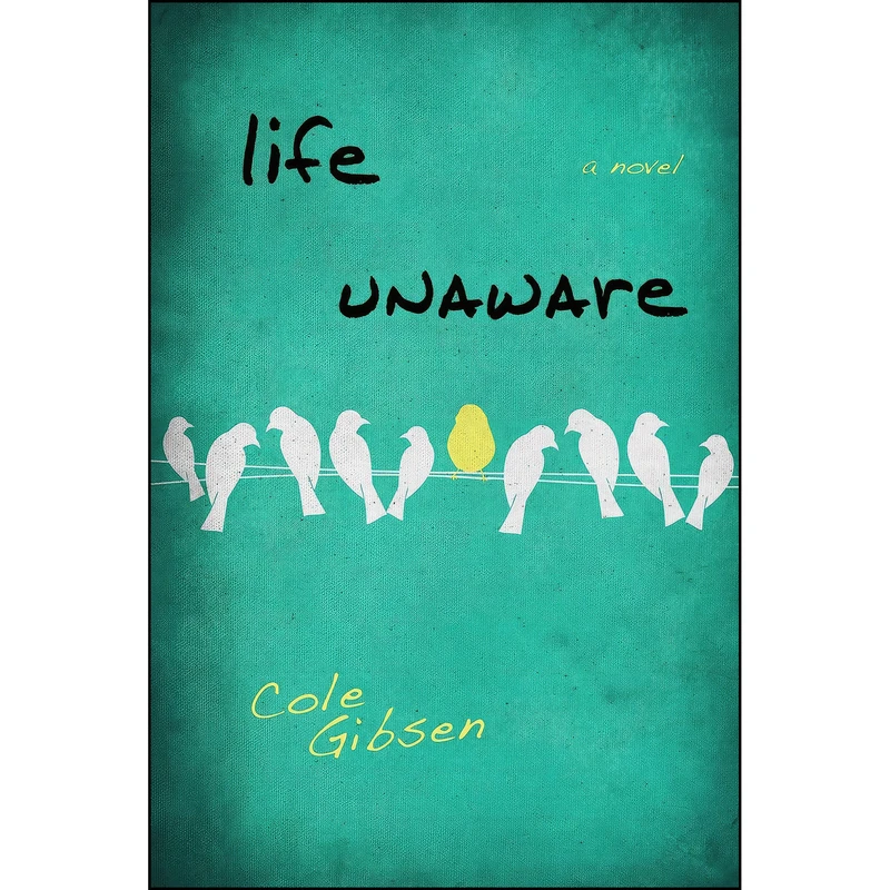 کتاب Life Unaware  اثر Cole Gibsen and Cole Gibsen انتشارات Entangled: Teen