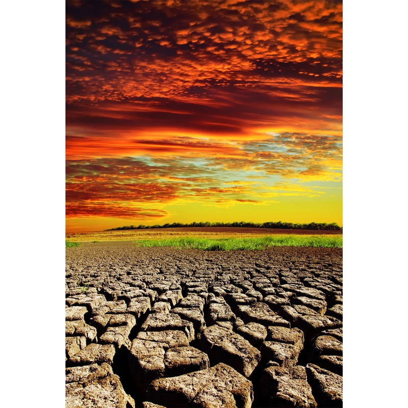 تابلو شاسی مدل بیابان ک T6862