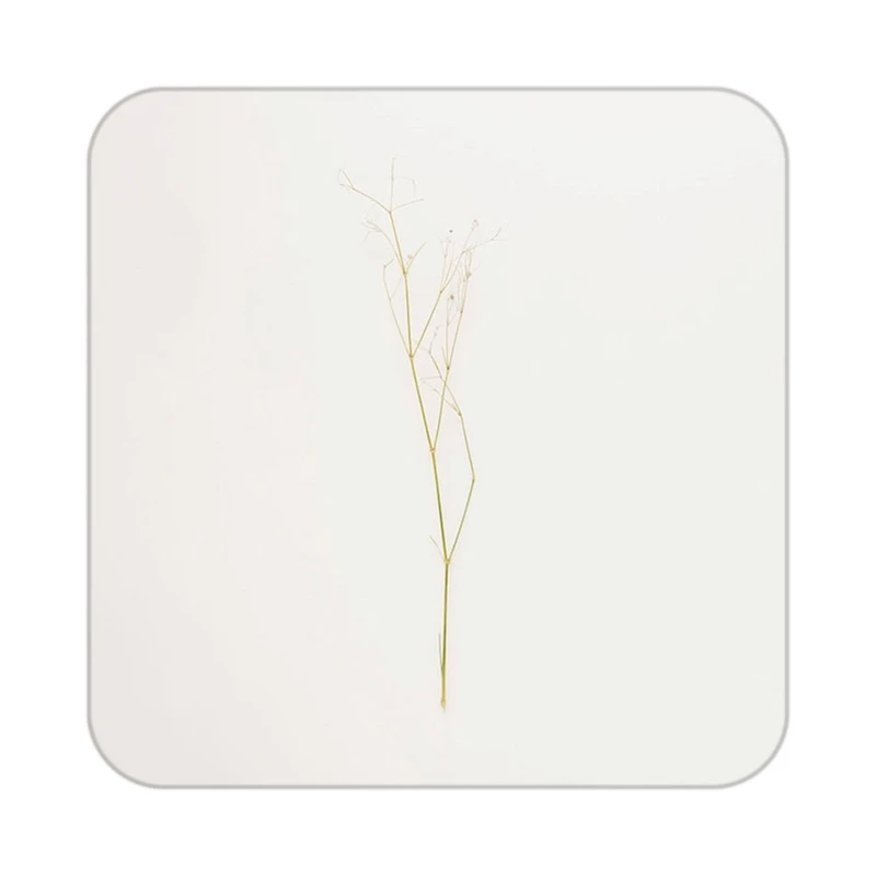 زیر لیوانی کاکتی طرح گل مدل mp17202